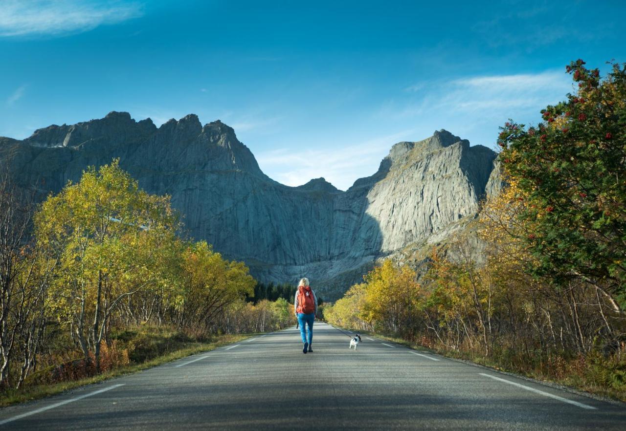 Lodge Lofoten By *